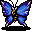 Moth